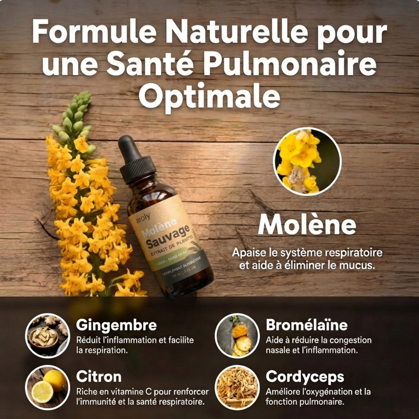 Gouttes de Molène Ultra-Concentrées | AROLY