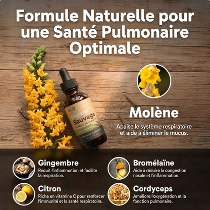 Gouttes de Molène Ultra-Concentrées | AROLY