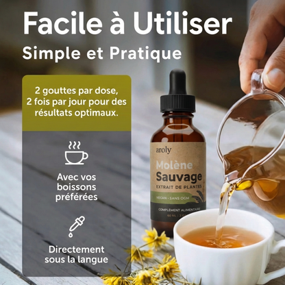 Gouttes de Molène Ultra-Concentrées | AROLY